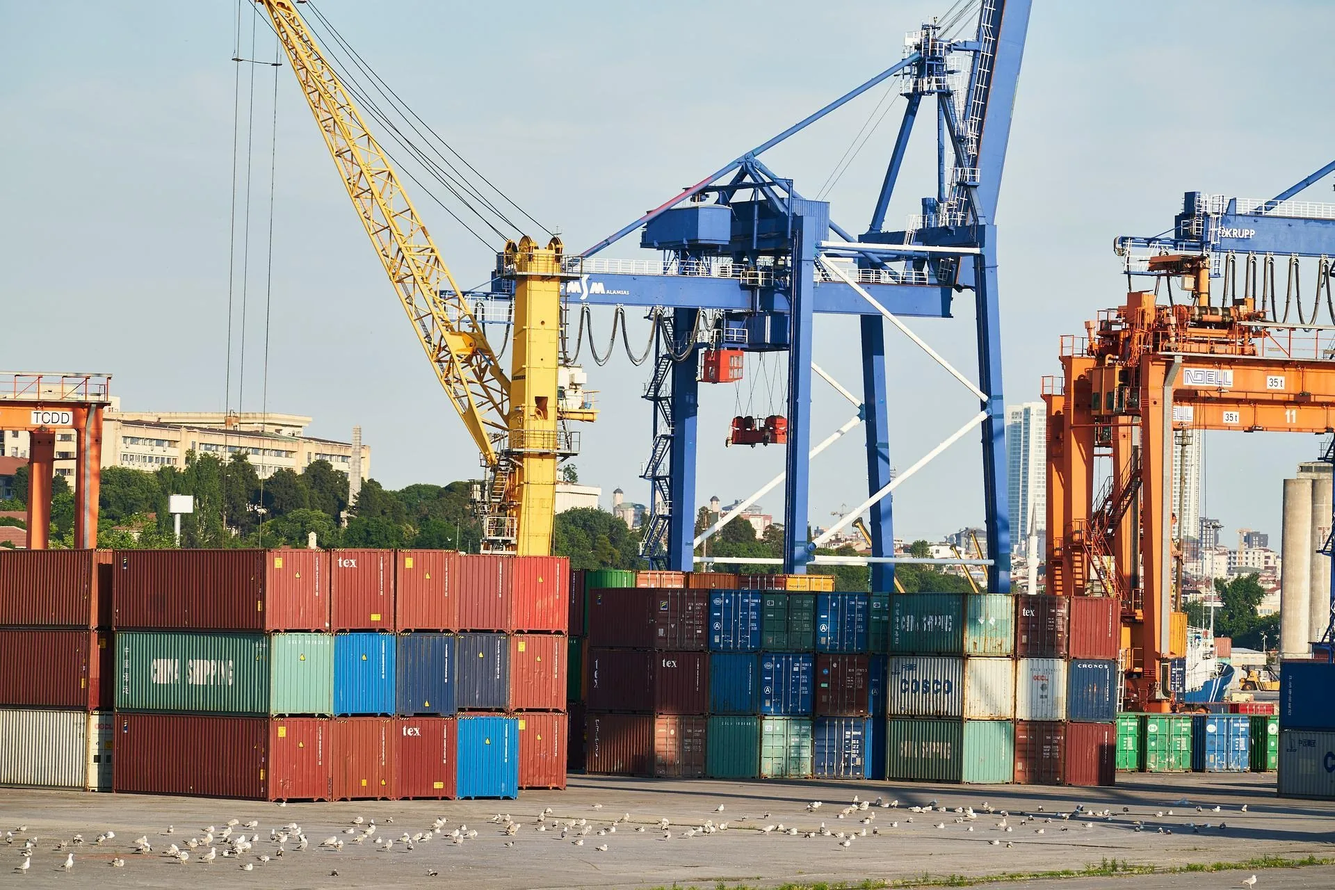 Longshore & Maritime Workers